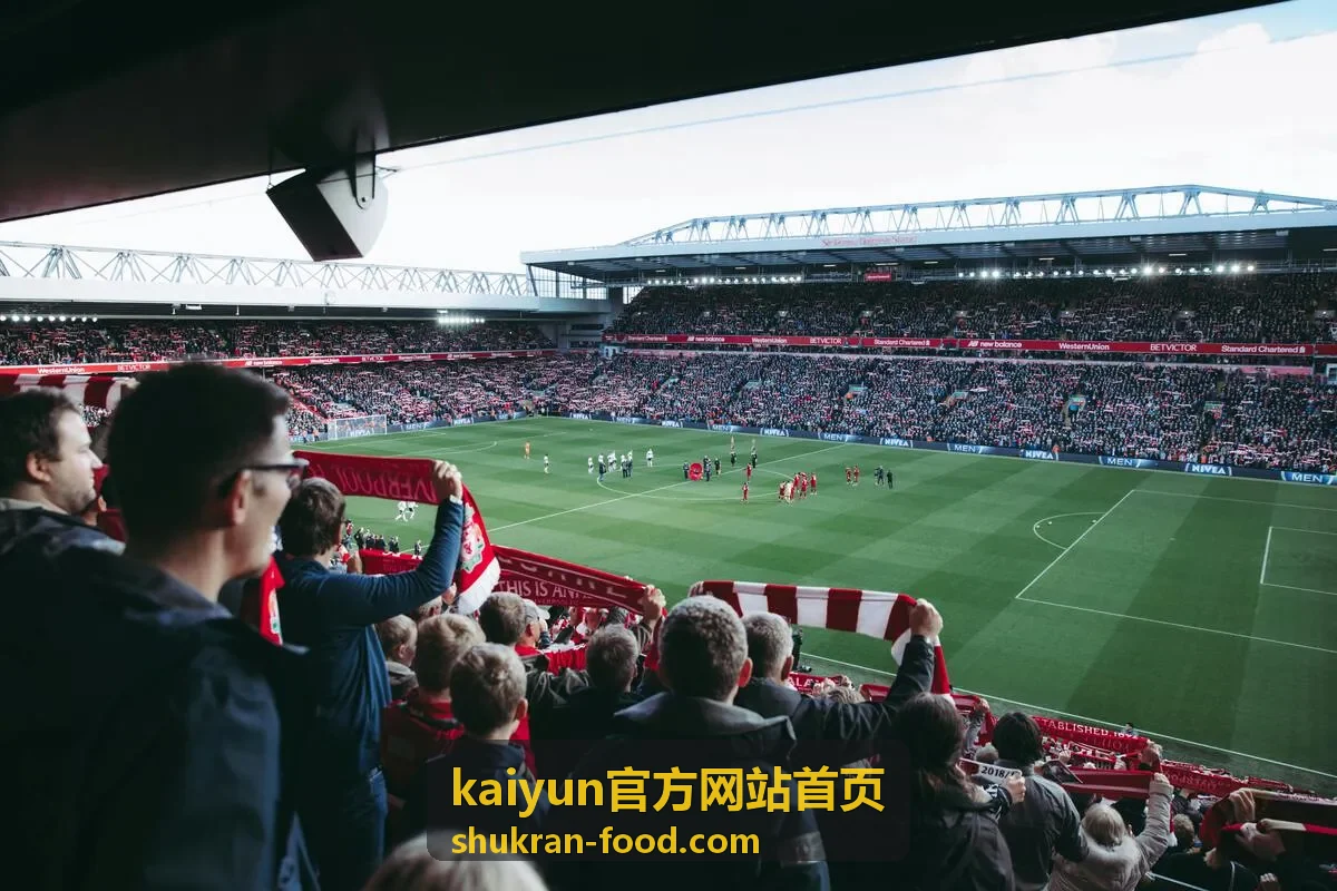 kaiyun官方网站首页新手入门指南