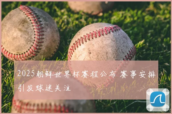 2025朝鲜世界杯赛程公布 赛事安排引发球迷关注