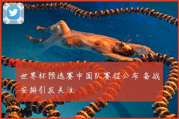 世界杯预选赛中国队赛程公布 备战安排引发关注
