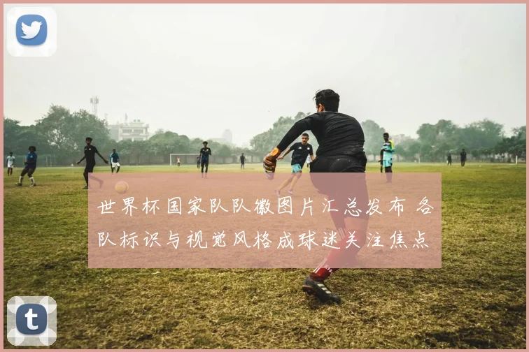世界杯国家队队徽图片汇总发布 各队标识与视觉风格成球迷关注焦点