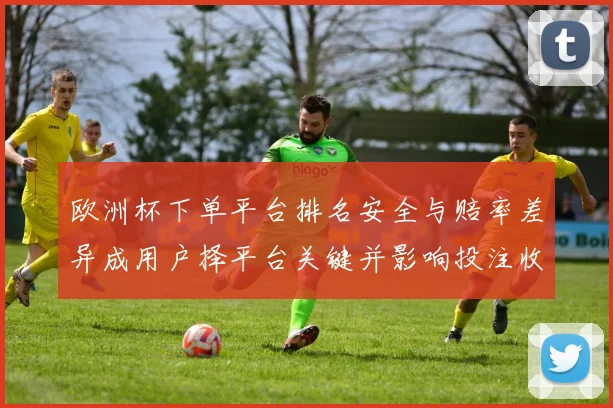 欧洲杯下单平台排名安全与赔率差异成用户择平台关键并影响投注收益预期