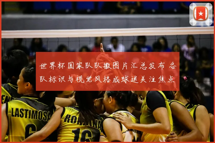 世界杯国家队队徽图片汇总发布 各队标识与视觉风格成球迷关注焦点