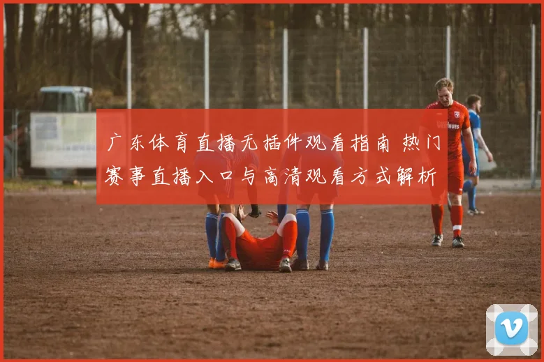广东体育直播无插件观看指南 热门赛事直播入口与高清观看方式解析