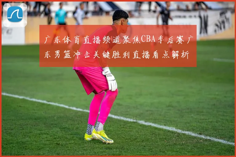 广东体育直播频道聚焦CBA季后赛广东男篮冲击关键胜利直播看点解析